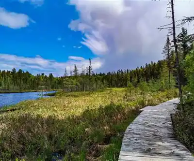 Discover Mizzy Lake Trail, Algonquin Provincial Park, Ontario in Algonquin Park, Almaguin Highlands, Muskoka and Parry Sound