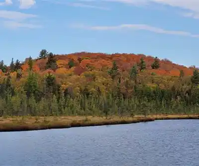 Hiking view of Mizzy Lake Trail, Algonquin Provincial Park, Ontario