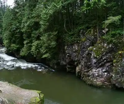 Sentier de randonnée Capilano River Regional Park - paysage naturel