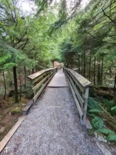 Explore Belcarra Regional Park trail