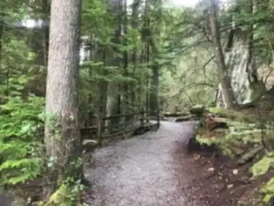 Discover Belcarra Regional Park in Vancouver Coast Mountains