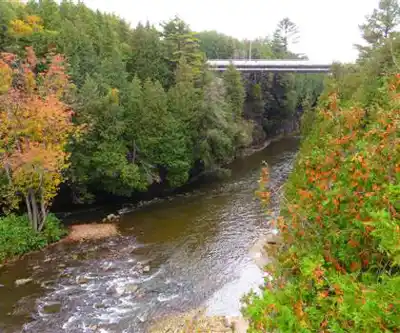 Sentier de randonnée Elora Gorge Trail - paysage naturel