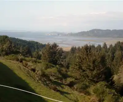 Humboldt Bay hiking trail - natural landscape