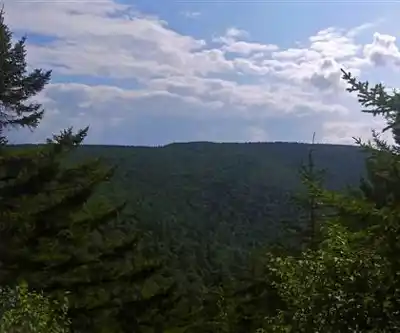 Sentier de randonnée Overlook Mountain Trail - paysage naturel