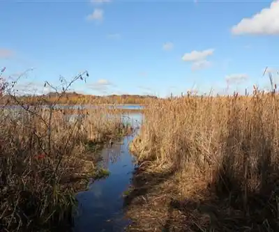 Spruce Lake hiking trail - natural landscape