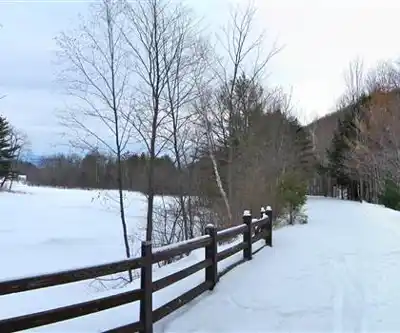 Ashuwillticook Rail Trail hiking trail - natural landscape