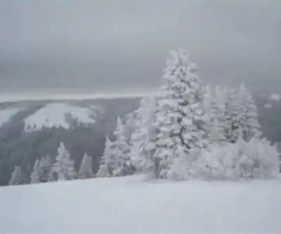 Kelly Canyon hiking trail - natural landscape