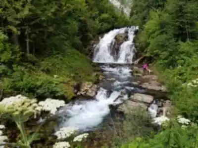 Sentier de randonnée Fairy Creek Falls - paysage naturel