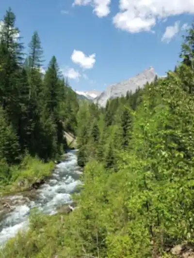 Découvrir Fairy Creek Falls en Rocheuses Kootenay