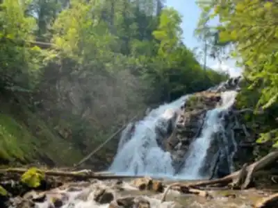 Vue en randonnée de Fairy Creek Falls