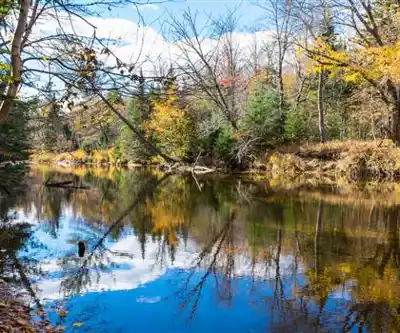 Swift River hiking trail - natural landscape
