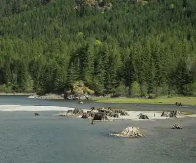 Bedwell Lake hiking trail - natural landscape