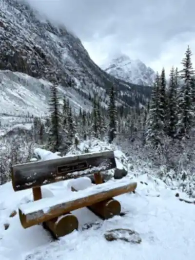 Explore Mount Edith Cavell trail