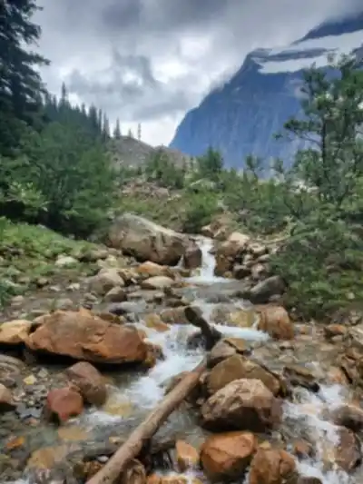 Mount Edith Cavell hike - nature and outdoors