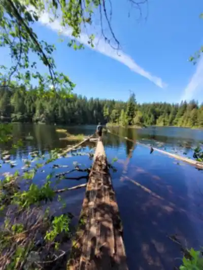 Alice Lake Provincial Park hike - nature and outdoors