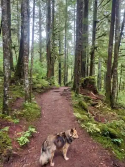 Alice Lake Provincial Park scenery - hiking