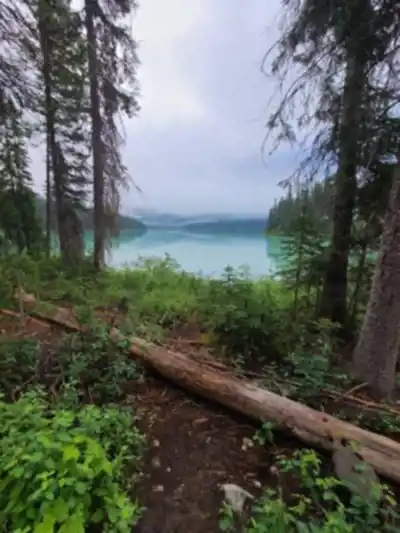 Randonnée Emerald Lake - nature et plein air