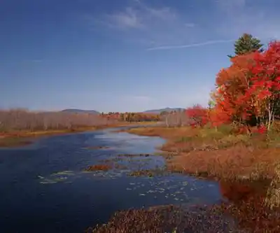 Fawn Lake hiking trail - natural landscape