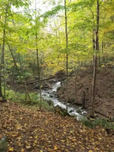 Explorer le sentier Tiffany Falls Conservation Area