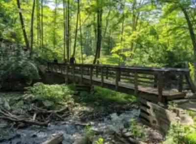 Découvrir Tiffany Falls Conservation Area en Hamilton, Halton and Brant