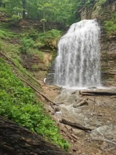 Sentier de randonnée Tiffany Falls Conservation Area - paysage naturel