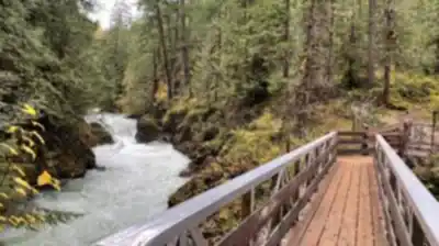 Explorer le sentier Little Qualicum Falls Provincial Park