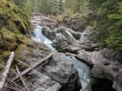 Vue en randonnée de Little Qualicum Falls Provincial Park