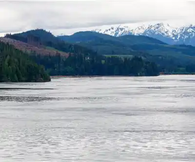 Johnstone Strait hiking trail - natural landscape