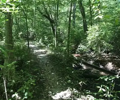 Wompatuck State Park hiking trail - natural landscape