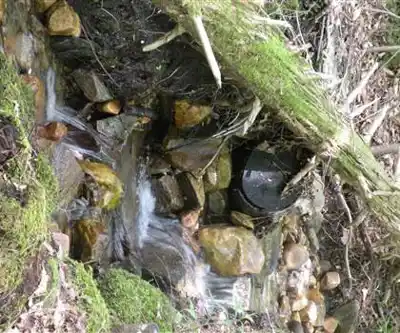 Sentier de randonnée Old Mill Trail - paysage naturel