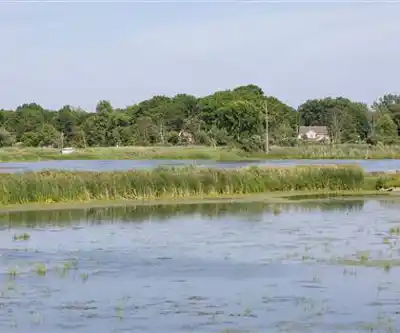 Sentier de randonnée Rondeau Provincial Park - paysage naturel