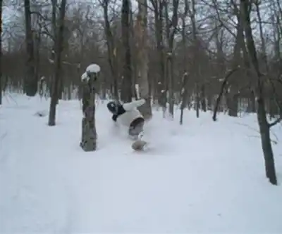 Middlebury College Snow Bowl hiking trail - natural landscape