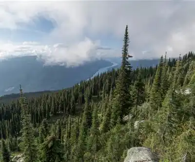 Miller Lake hiking trail - natural landscape