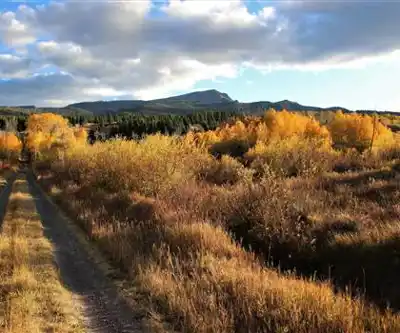 Sentier de randonnée Baldy Mountain - paysage naturel