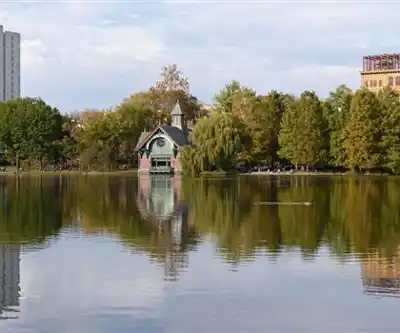 Central Park hiking trail - natural landscape