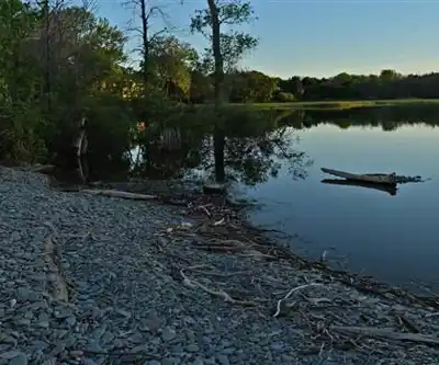 Rattray Marsh Conservation Area hiking trail - natural landscape