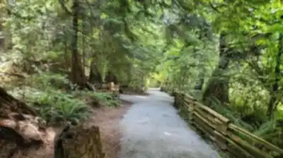 Lighthouse Park hike - nature and outdoors