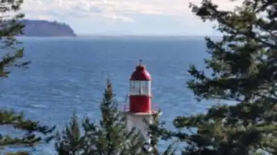Explore Lighthouse Park trail