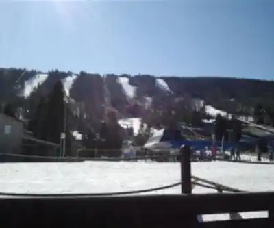 Camelback Ski Resort hiking trail - natural landscape
