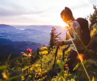 Elk Mountain hiking trail - natural landscape