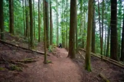 On the trails of Elk Mountain