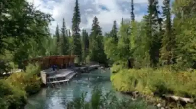 Vue en randonnée de Liard Hot Springs Lodge