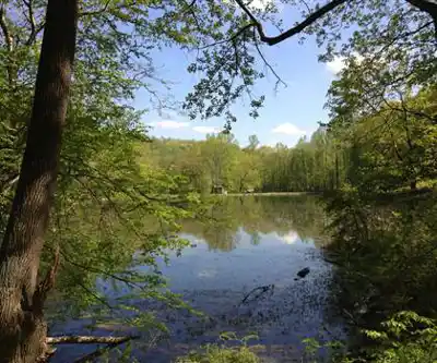 Sur les sentiers de Ghost Lake