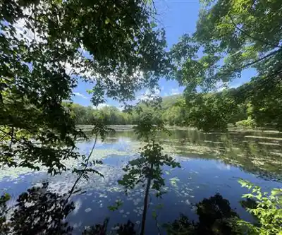 Balade en nature à Ghost Lake