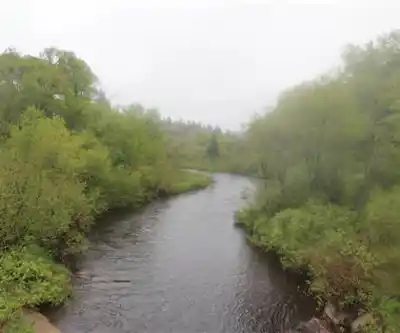 Sentier de randonnée Moose River - paysage naturel