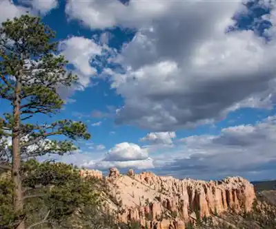 Under the Rim Trail hiking trail - natural landscape