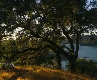 Sentier de randonnée Lake Sonoma - paysage naturel