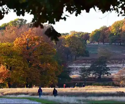 Richmond Pond hiking trail - natural landscape