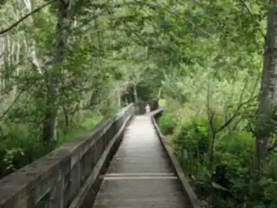 Discover Sasquatch Provincial Park in Vancouver Coast Mountains