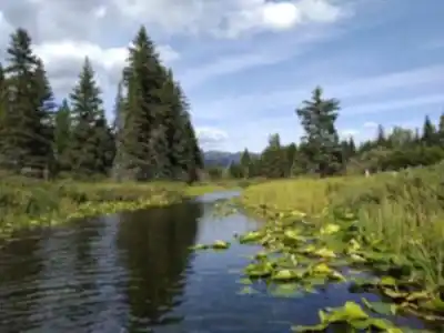 Explore Alta Lake trail